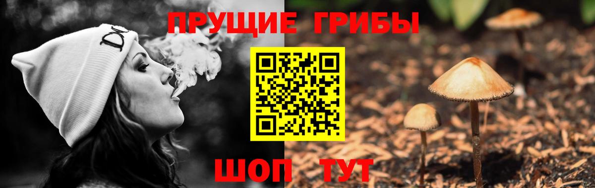 Галлюциногенные грибы прущие грибы Котельники